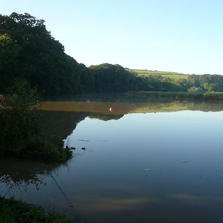Rumleigh Farm Bere Alston Eksteriør bilde